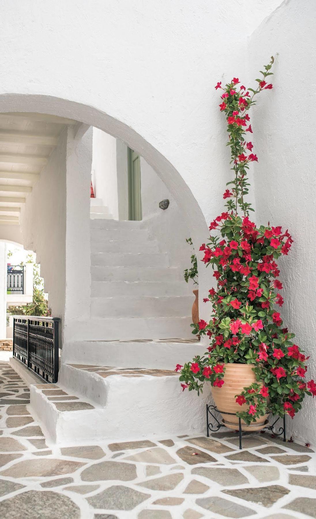 Nastasia Village Naxos City 외부 사진